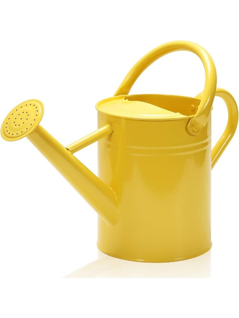 Stylish Galvanized Metal Watering Can, Removable Spout, 1 Gallon, Indoor/Outdoor